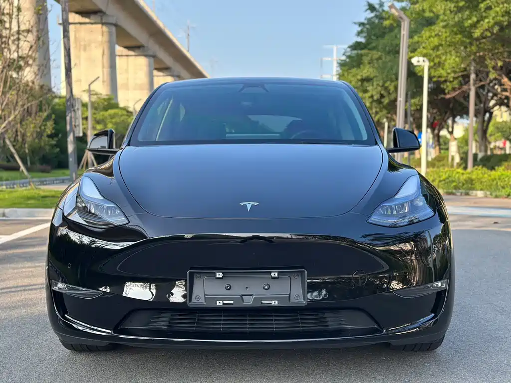 Tesla Model Y — фото 2