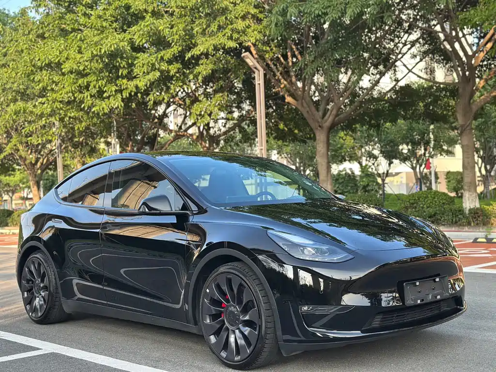 Tesla Model Y — фото 3