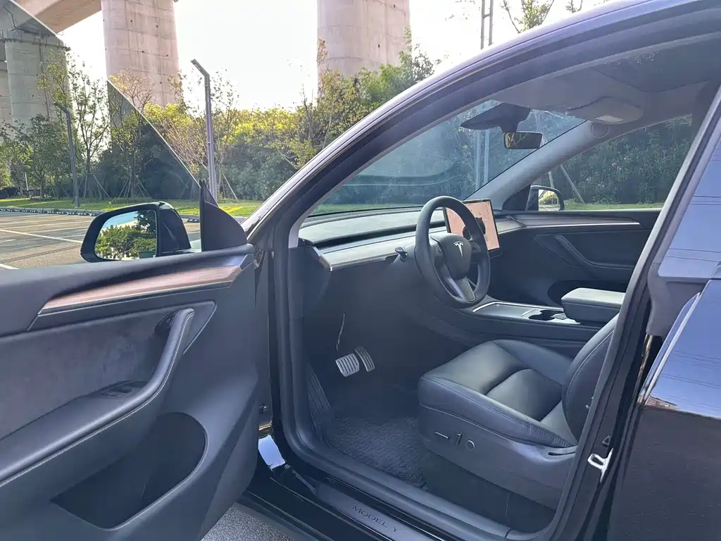 Tesla Model Y — фото 4