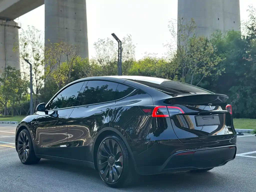 Tesla Model Y — фото 9