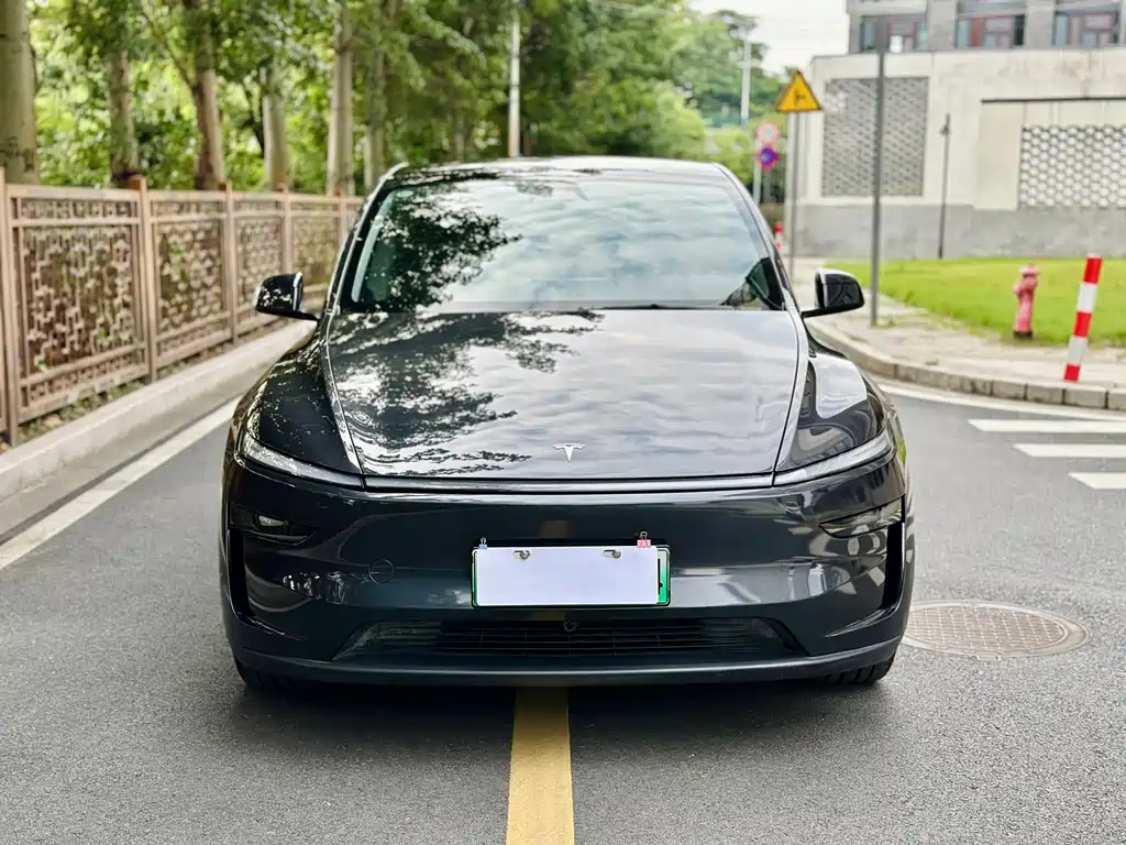 Tesla Model Y — фото 2