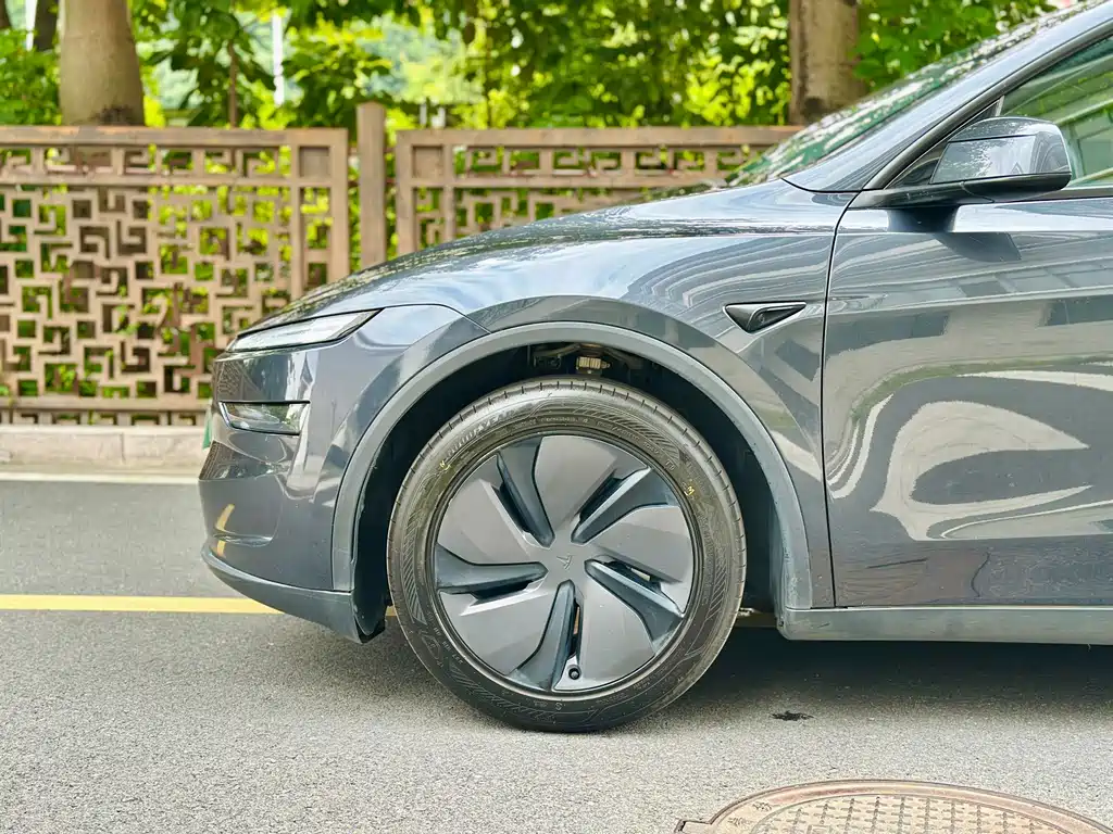 Tesla Model Y — фото 8
