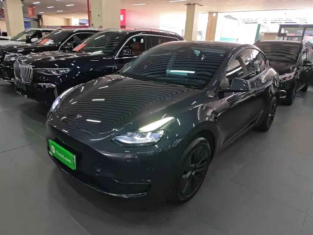 Tesla Model Y — фото 2