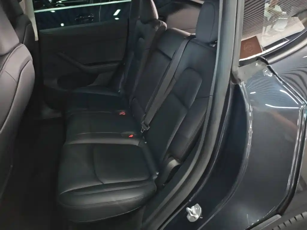 Tesla Model Y — фото 17