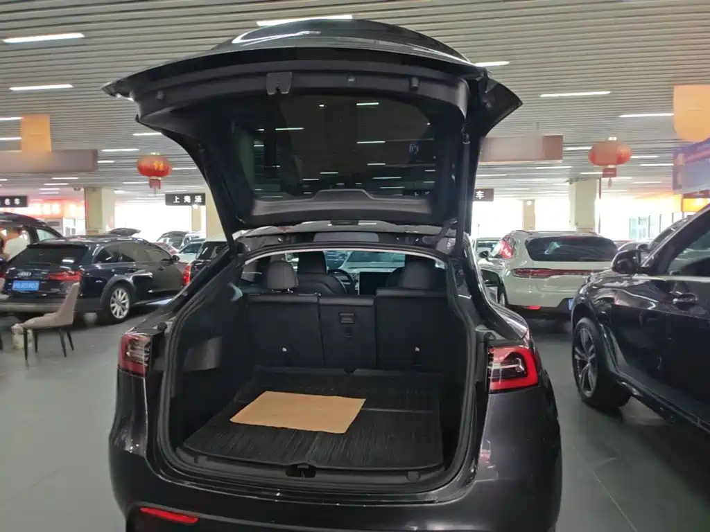 Tesla Model Y — фото 19