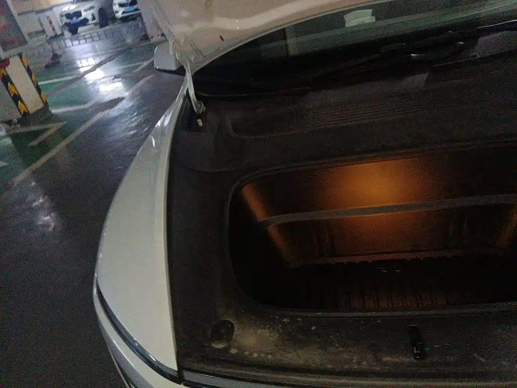 Tesla Model Y — фото 21