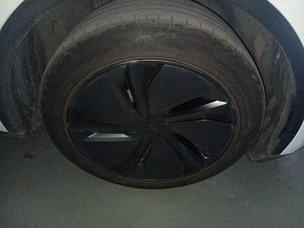 Tesla Model Y — фото 25