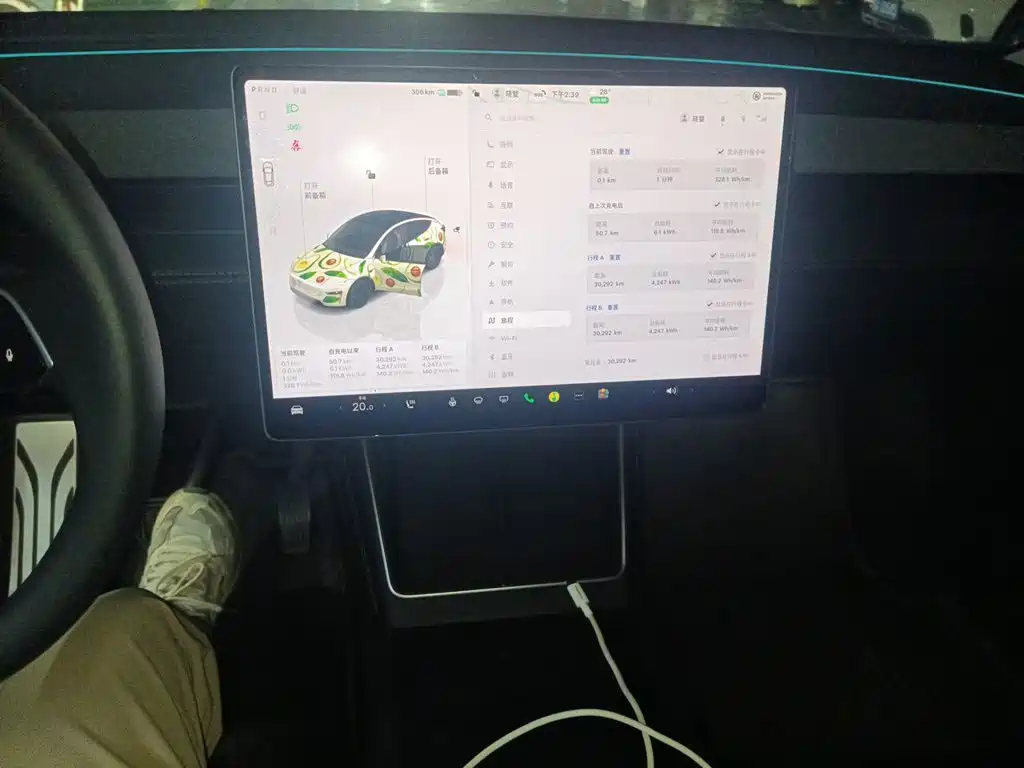 Tesla Model Y — фото 9