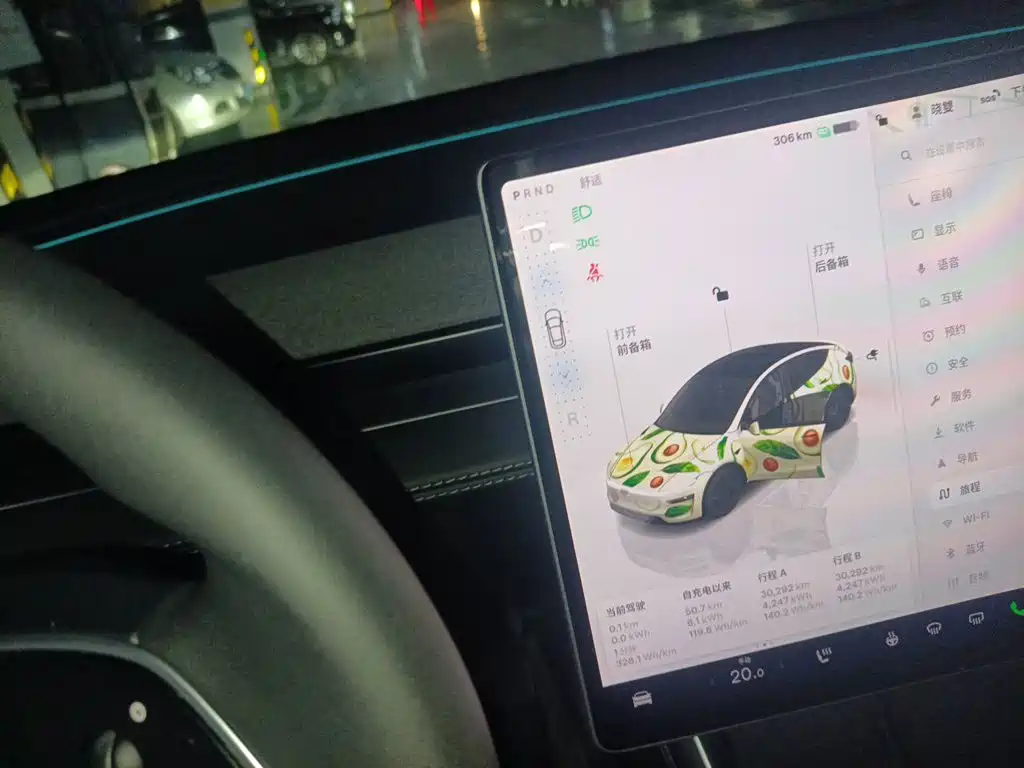 Tesla Model Y — фото 10