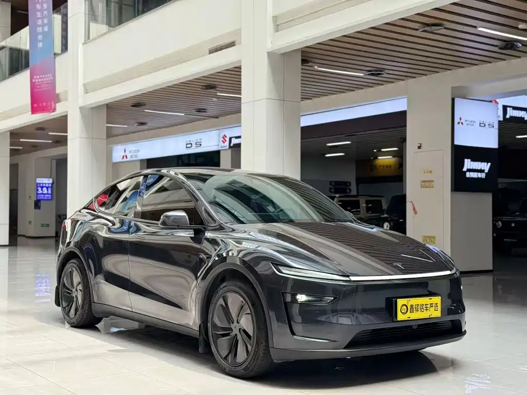 Tesla Model Y — фото 3