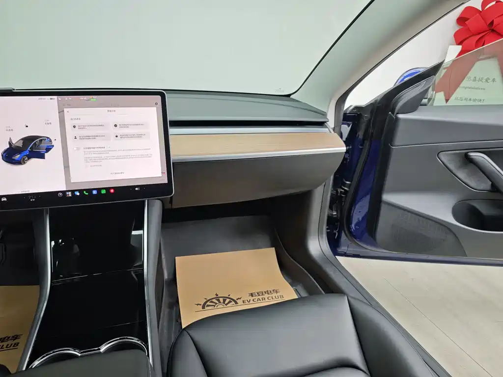 Tesla Model 3 — фото 19