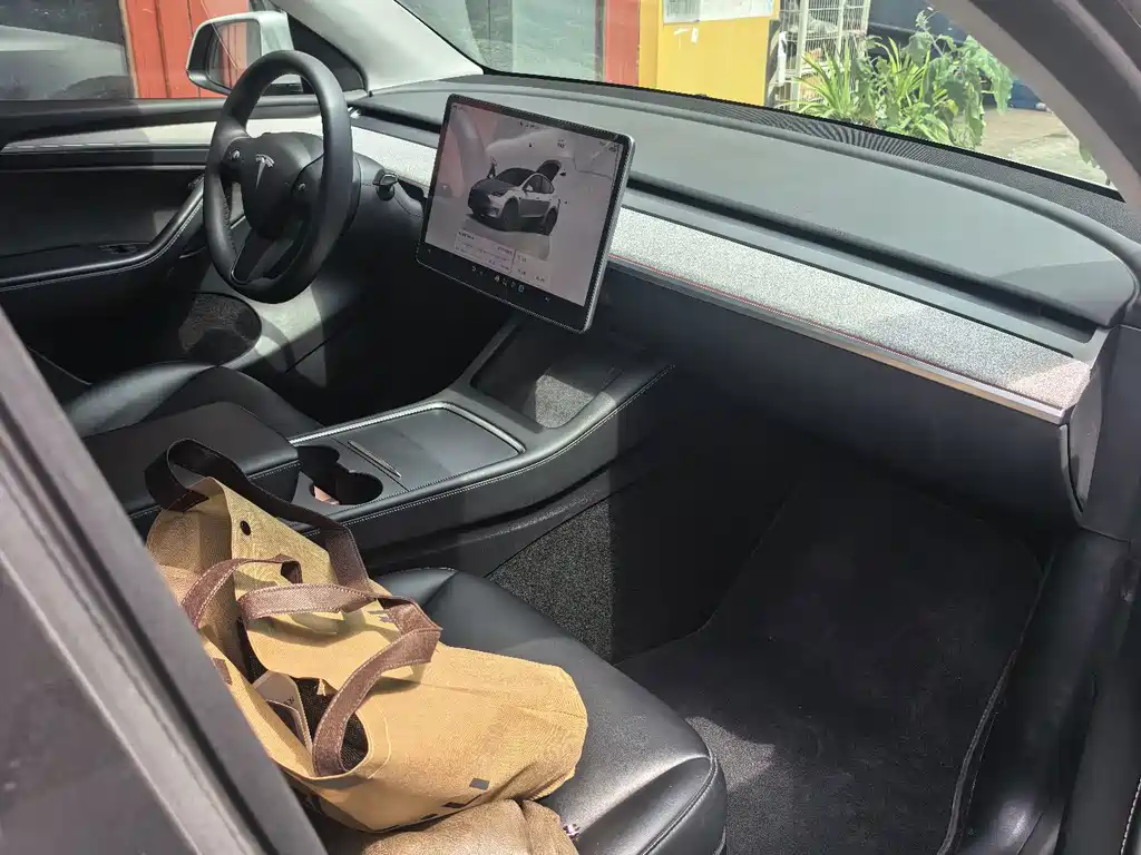 Tesla Model Y — фото 8