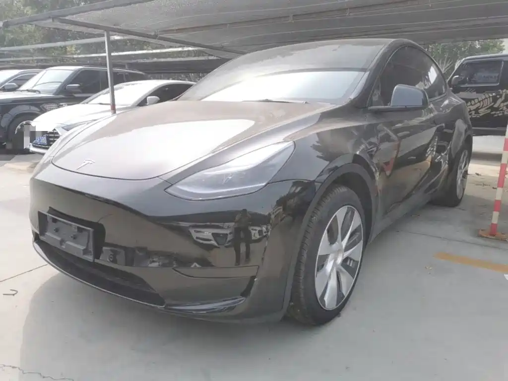 Tesla Model Y — фото 2