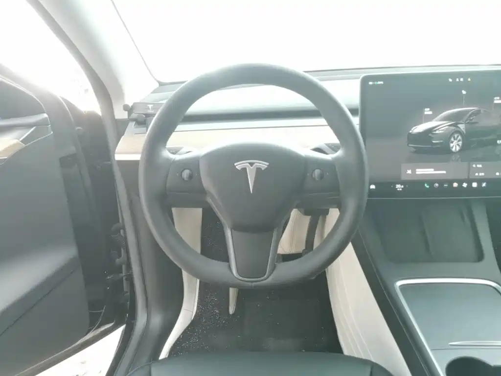 Tesla Model Y — фото 11