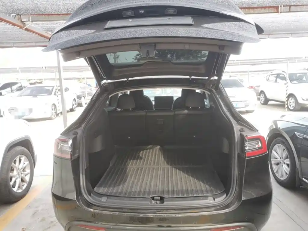 Tesla Model Y — фото 19
