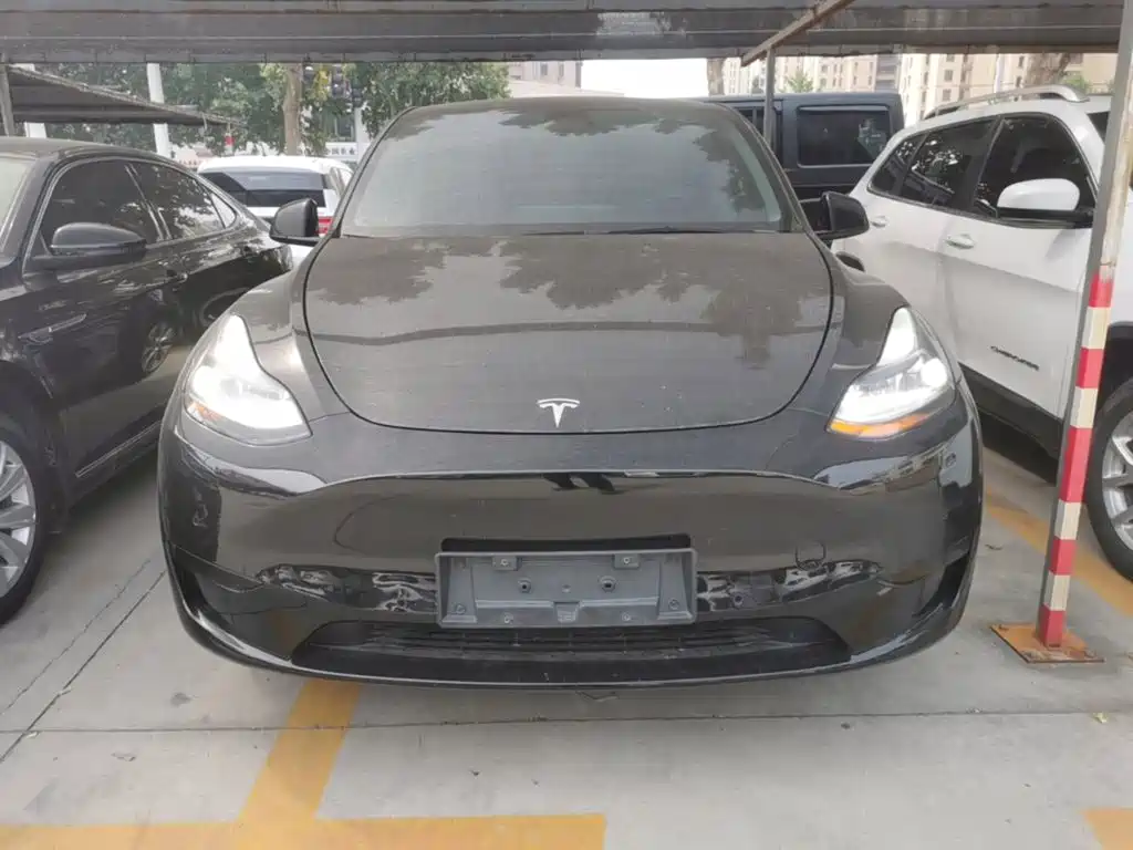 Tesla Model Y — фото 3