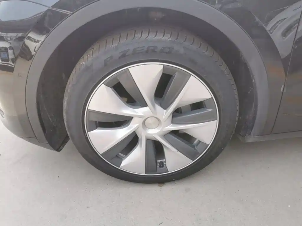 Tesla Model Y — фото 23