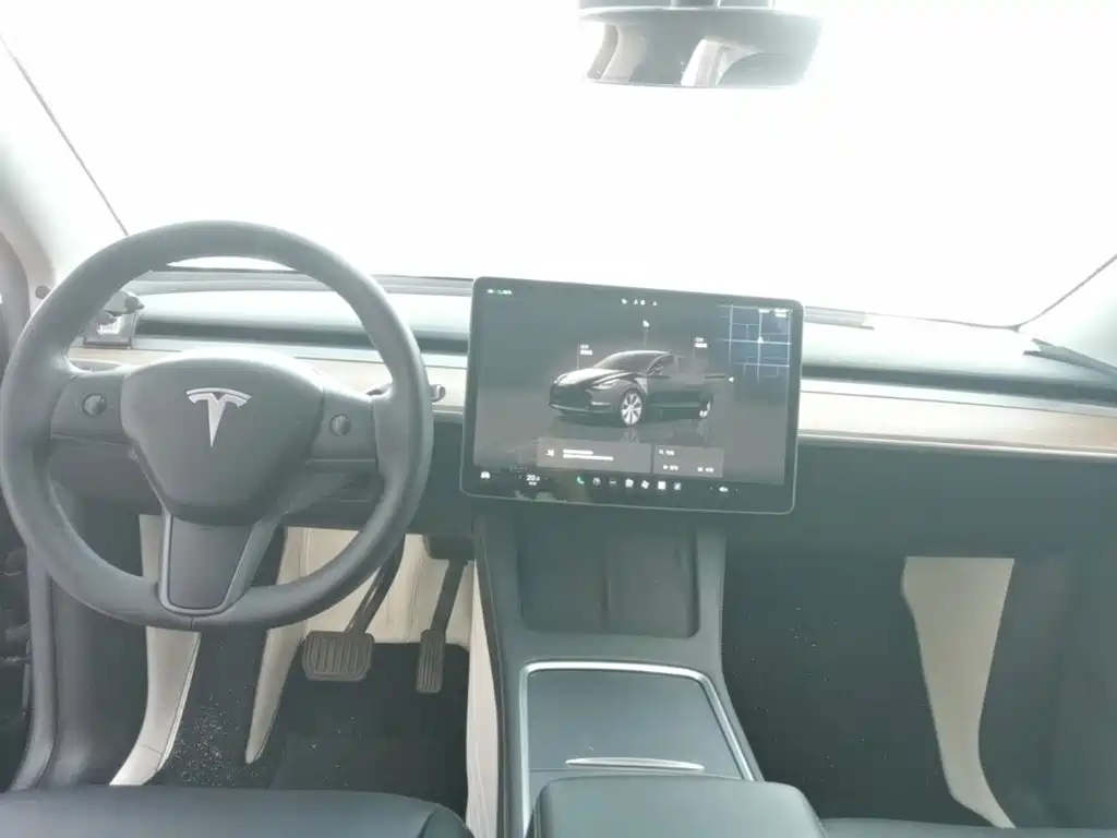Tesla Model Y — фото 10