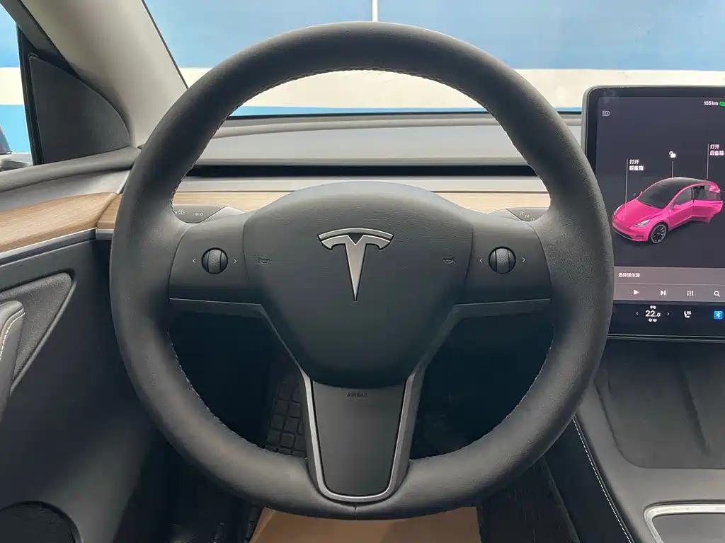 Tesla Model Y — фото 21