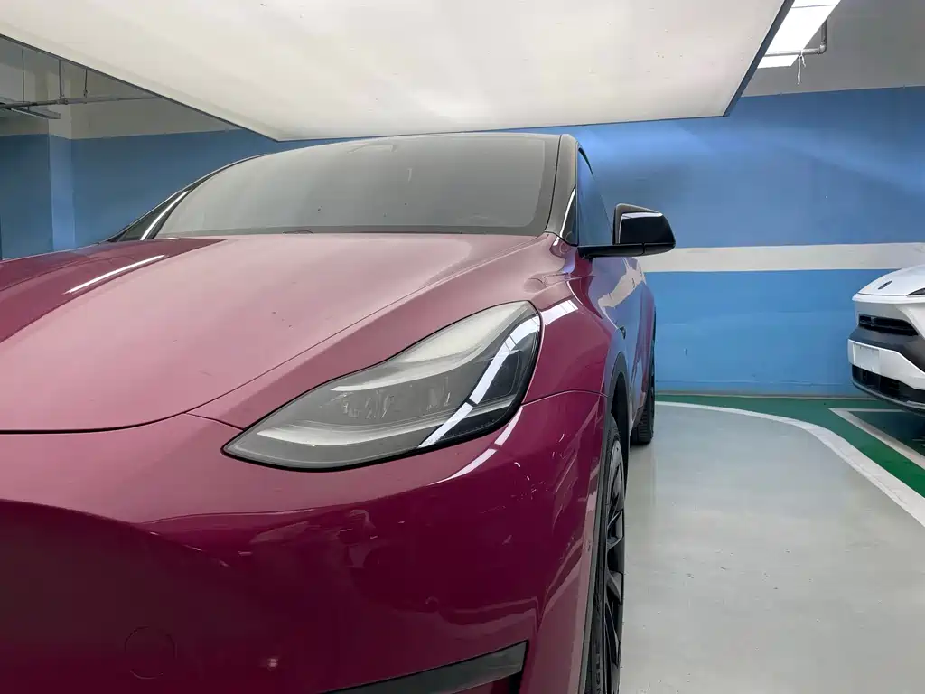 Tesla Model Y — фото 5