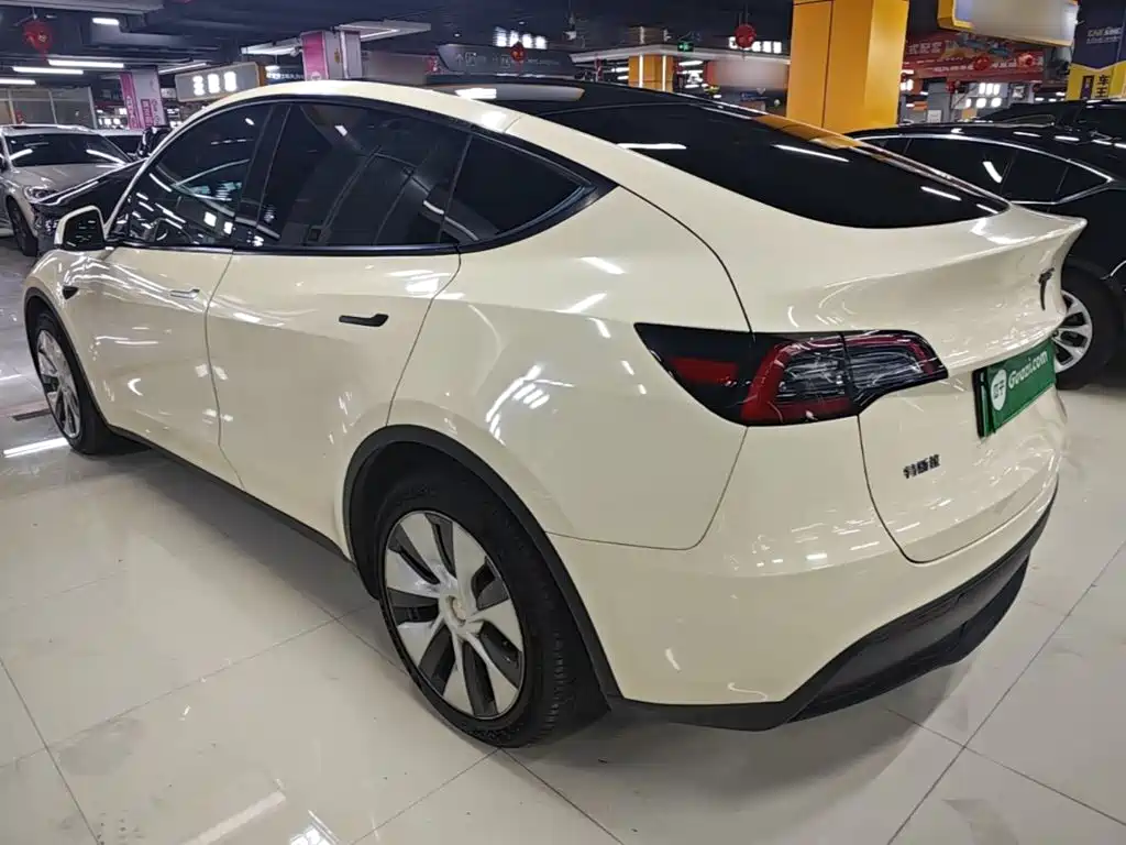 Tesla Model Y — фото 23