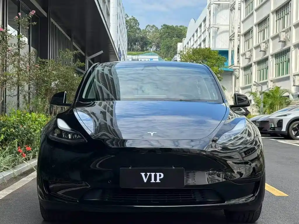 Tesla Model Y — фото 2