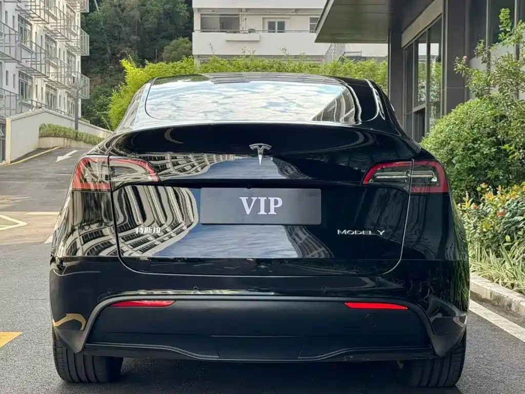 Tesla Model Y — фото 9