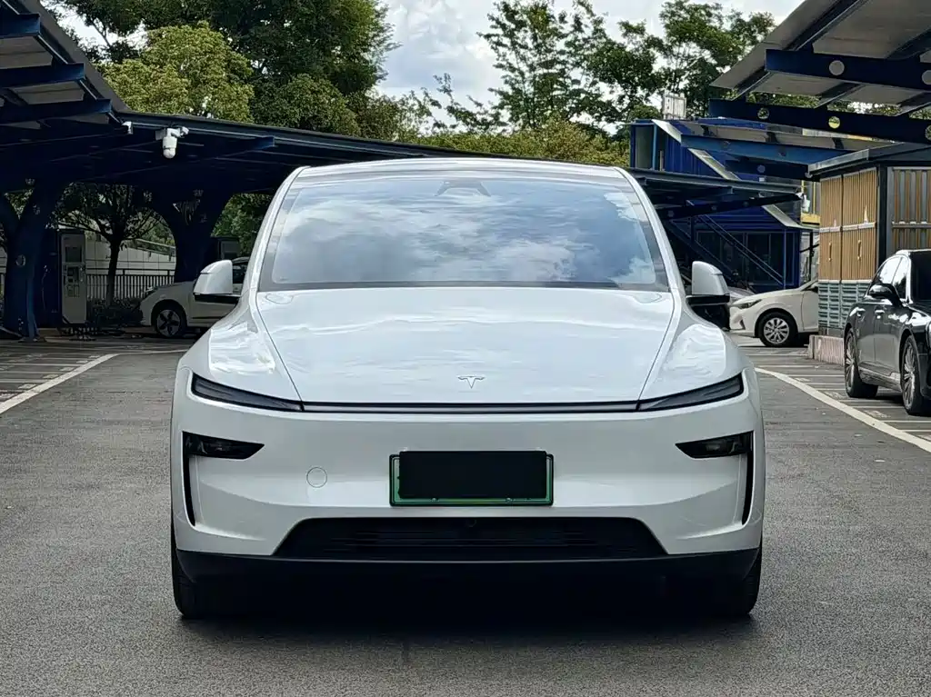 Tesla Model Y — фото 2