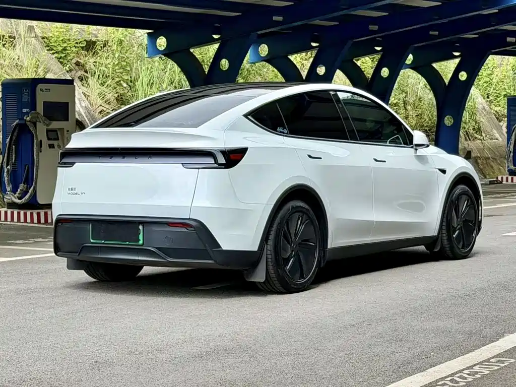 Tesla Model Y — фото 4