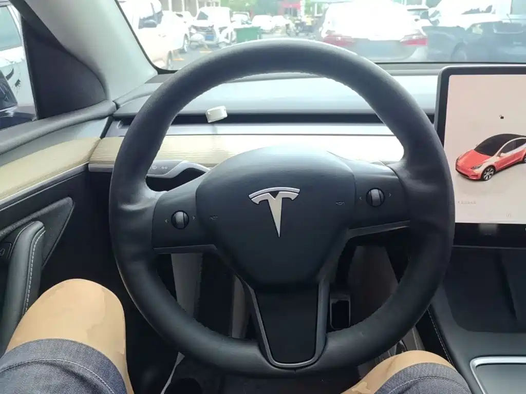 Tesla Model Y — фото 11