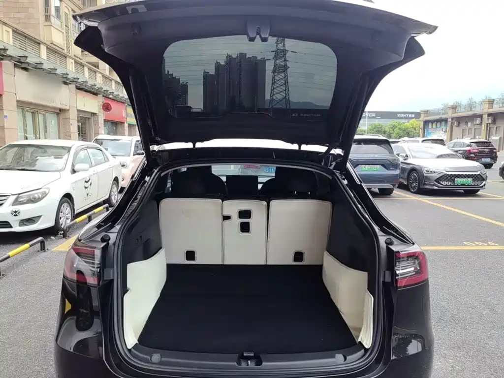 Tesla Model Y — фото 19