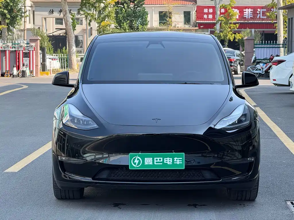 Tesla Model Y — фото 2