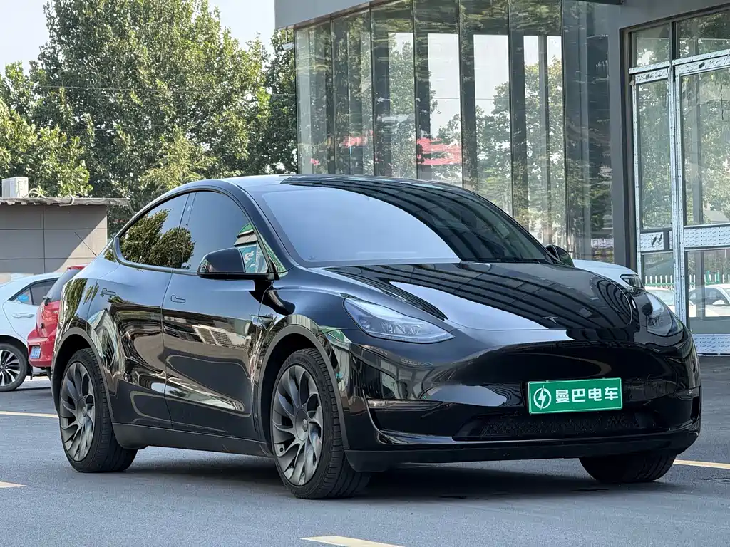 Tesla Model Y — фото 3