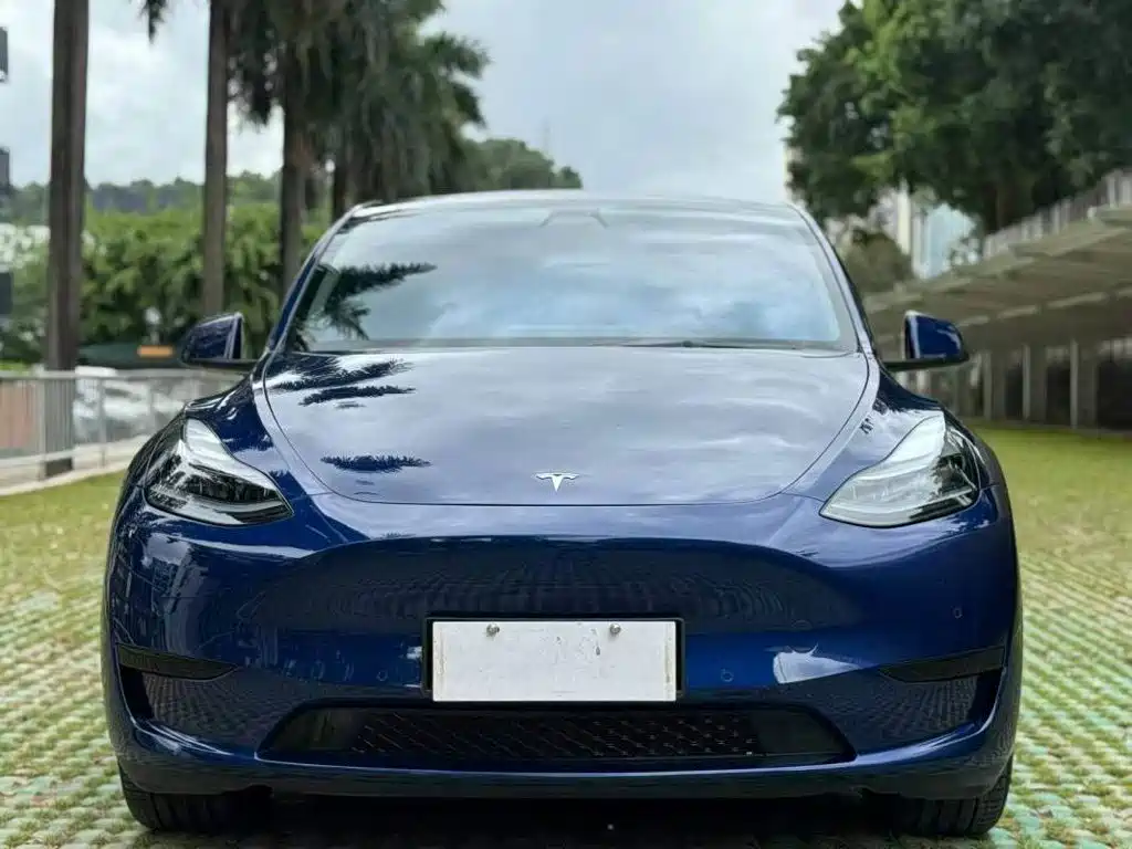 Tesla Model Y — фото 2