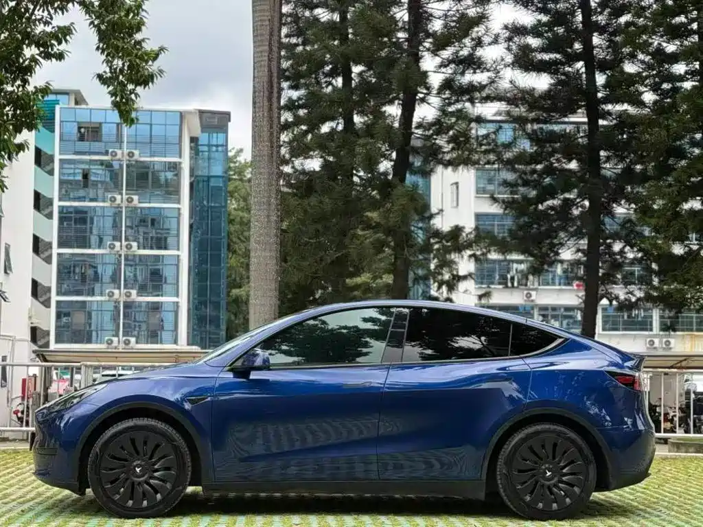 Tesla Model Y — фото 3