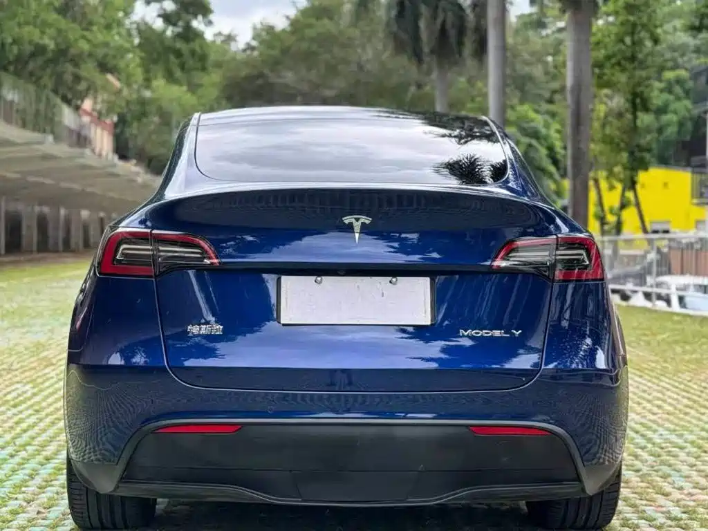 Tesla Model Y — фото 9