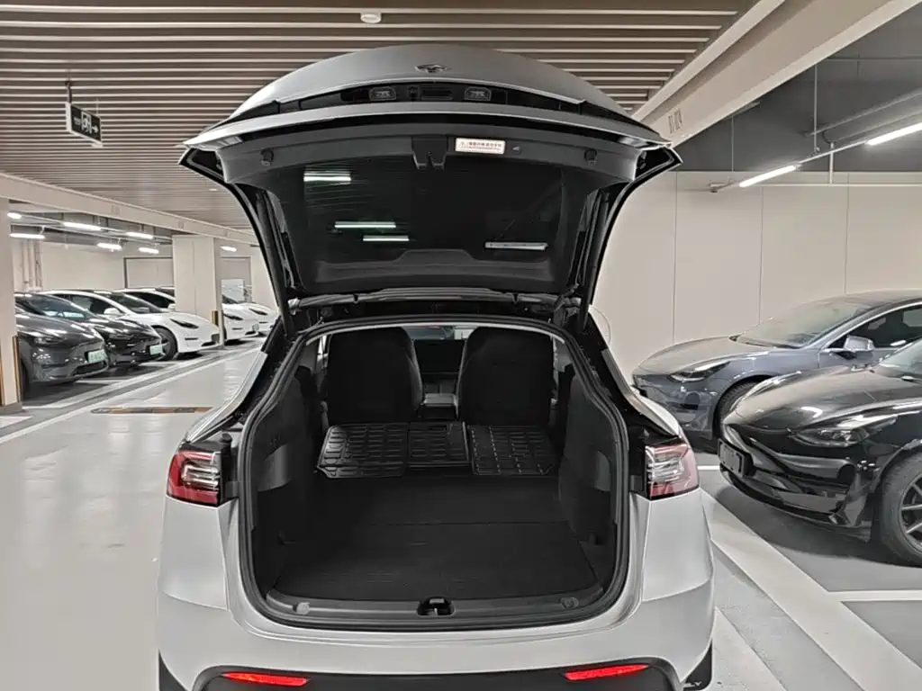 Tesla Model Y — фото 19