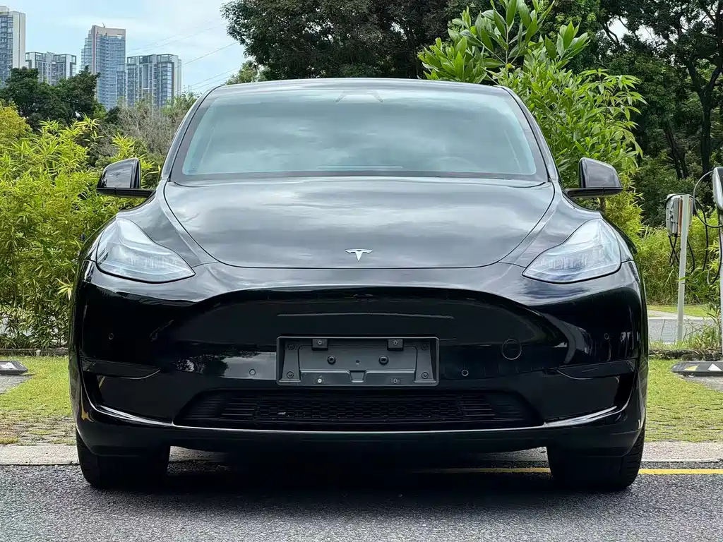 Tesla Model Y — фото 2