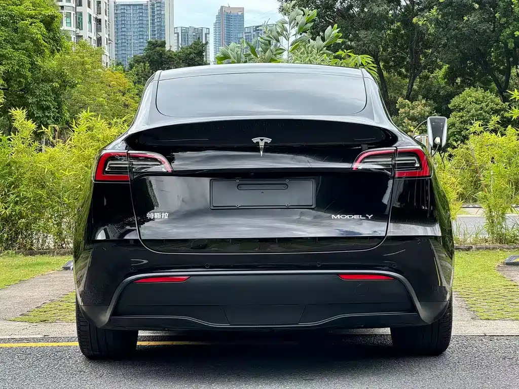 Tesla Model Y — фото 5