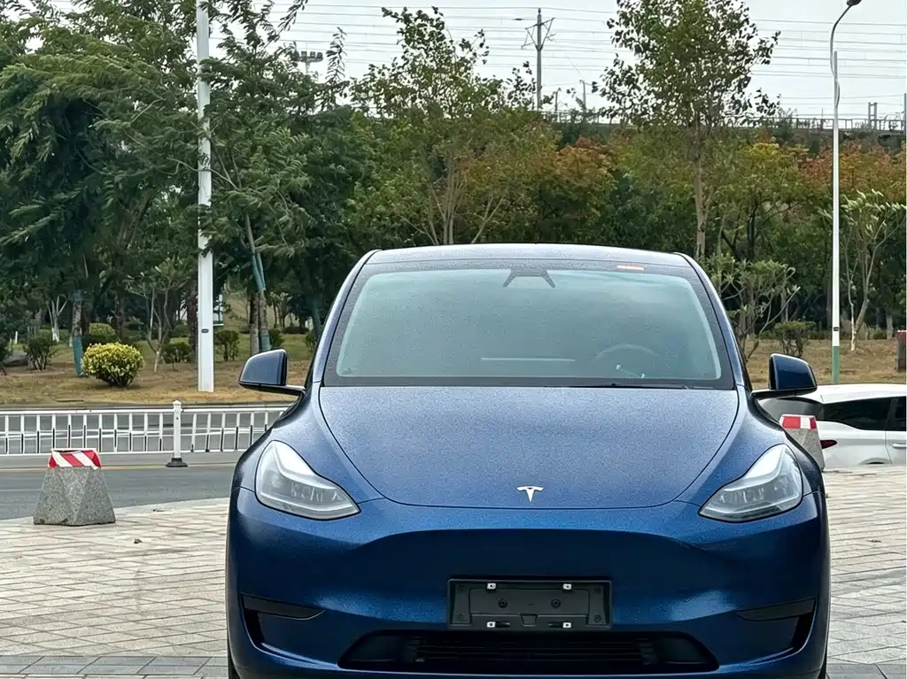 Tesla Model Y — фото 2