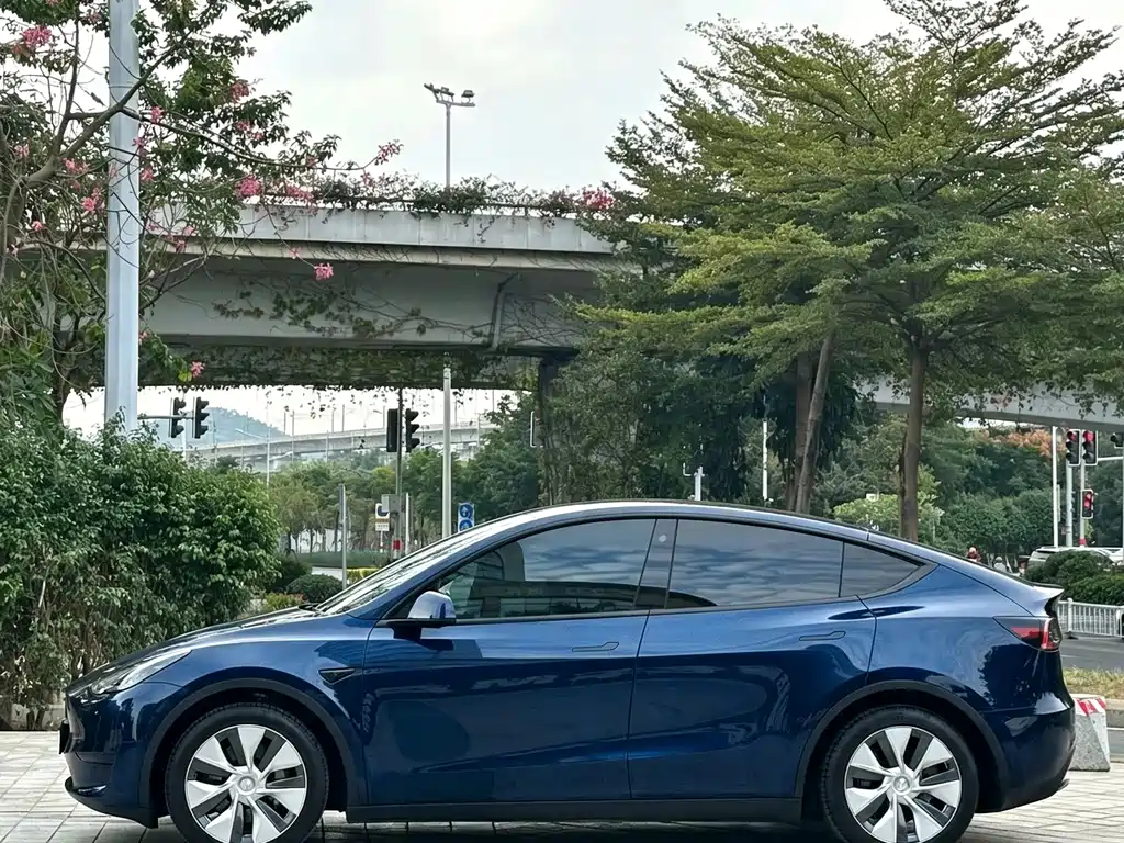 Tesla Model Y — фото 3