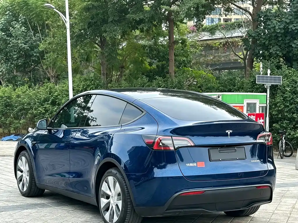 Tesla Model Y — фото 4