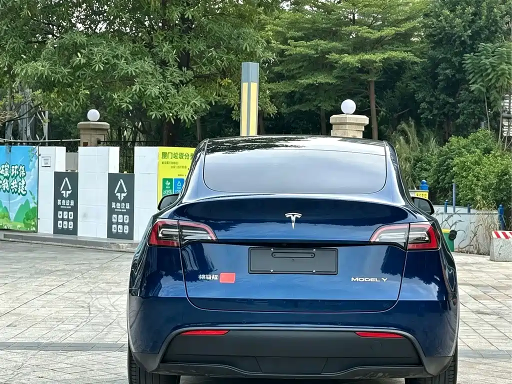 Tesla Model Y — фото 5