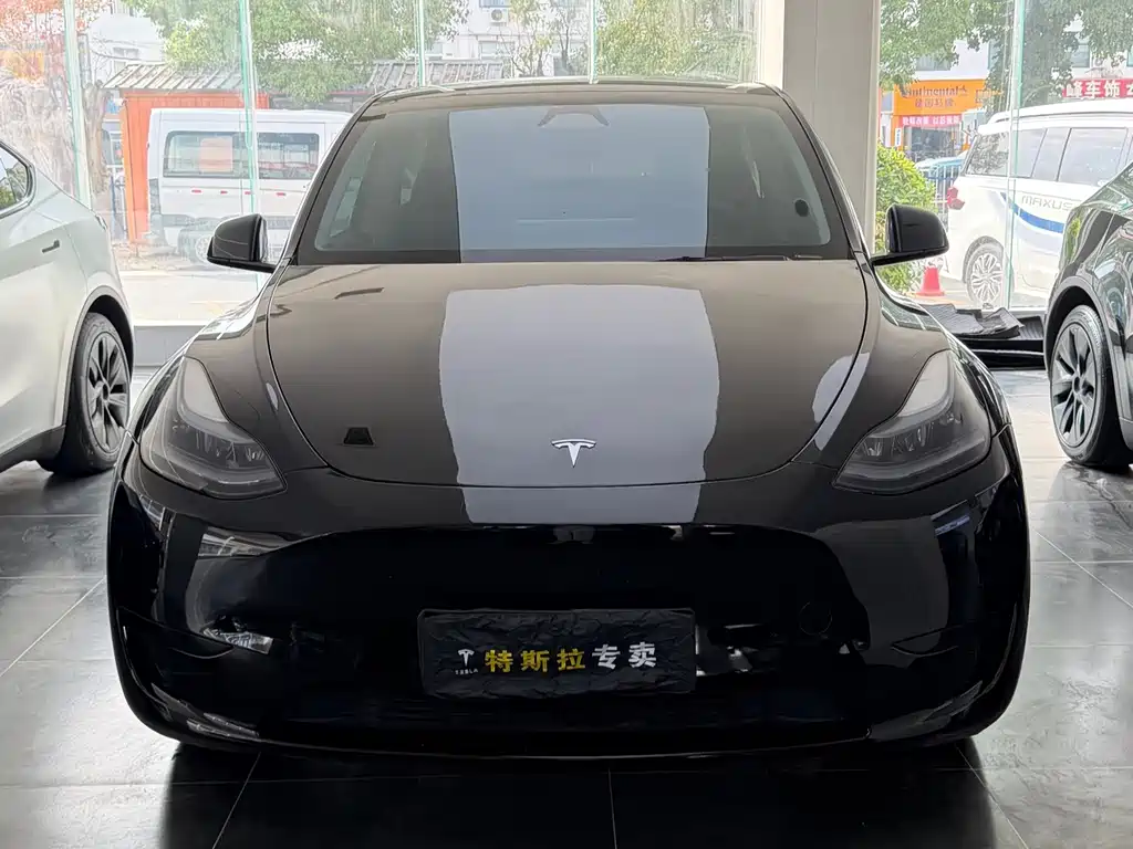 Tesla Model Y — фото 2