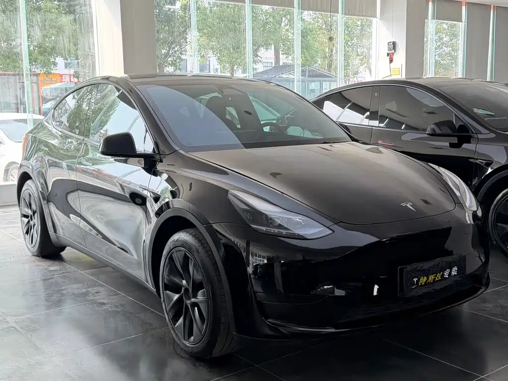 Tesla Model Y — фото 3