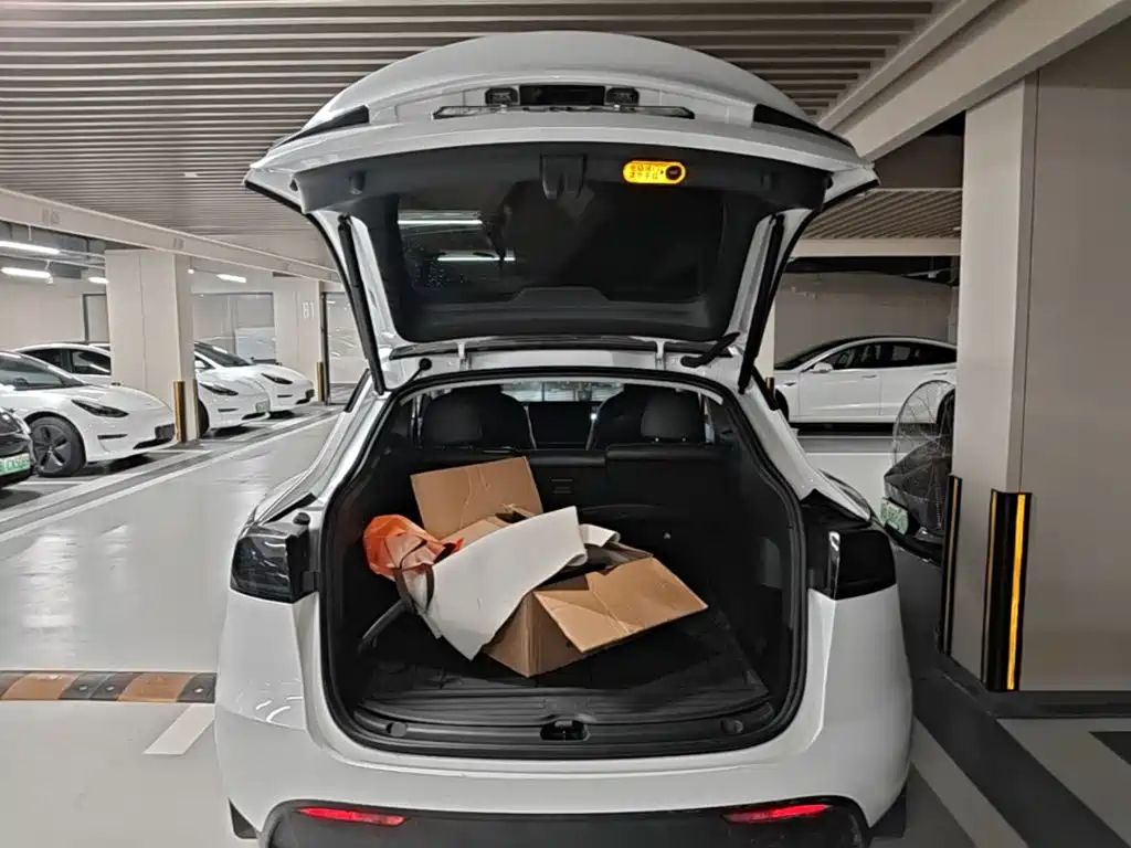 Tesla Model Y — фото 19