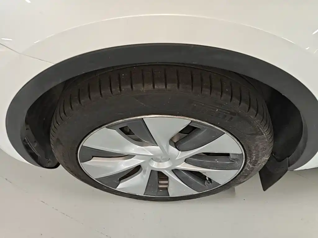 Tesla Model Y — фото 23
