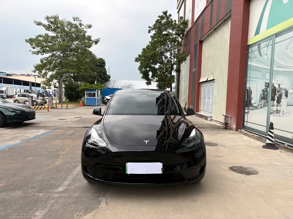 Tesla Model Y — фото 2