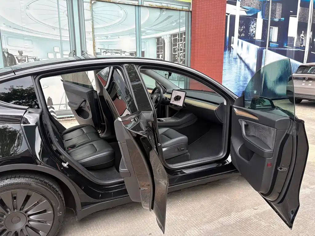 Tesla Model Y — фото 13