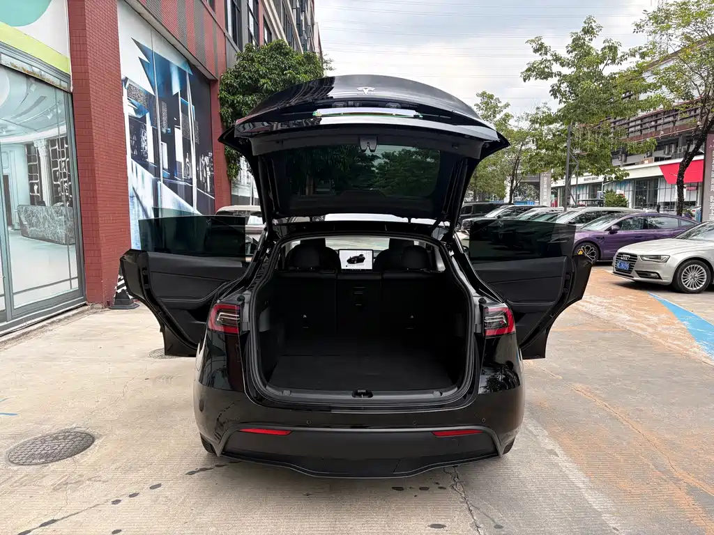 Tesla Model Y — фото 14